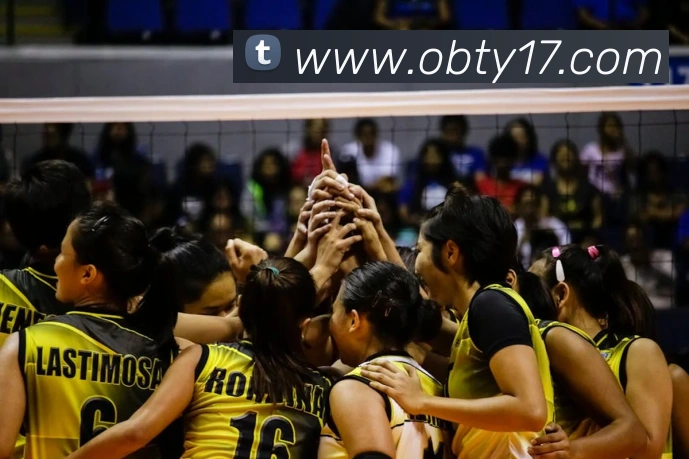 ob欧宝官网服务体系